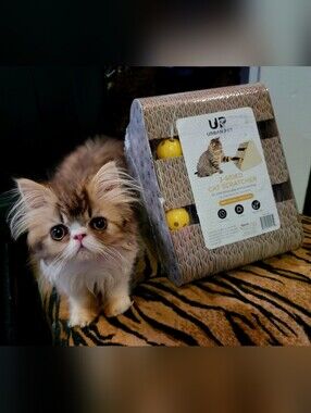 Cat Cardboard Scratcher 3-Sided W Balls New Ea.
